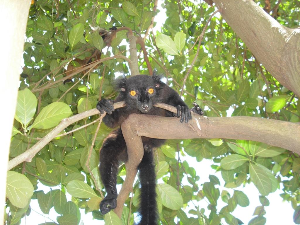 Nosy b, piccola isola del Madagascar
